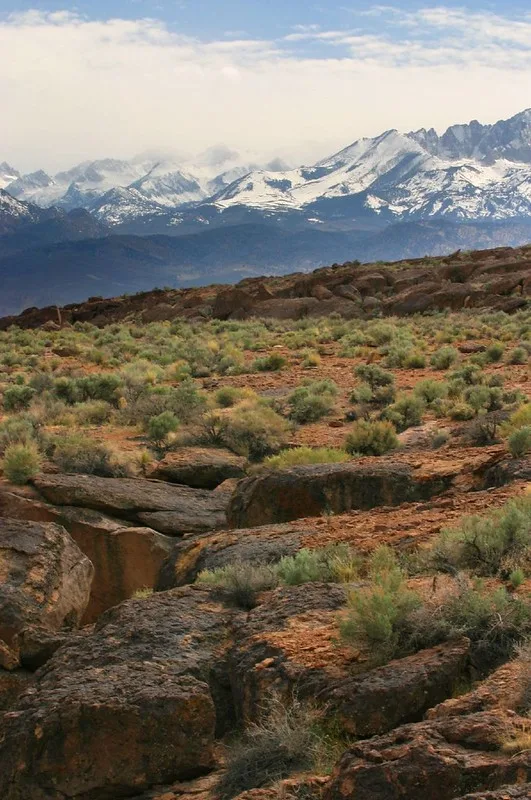 120402109 4cf0e652d0 c