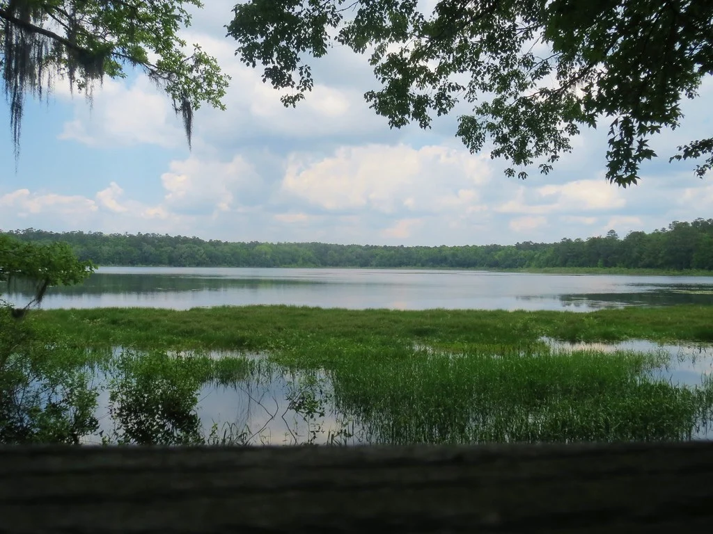 13996324982 a383b32374 b 13996324982 a383b32374 b