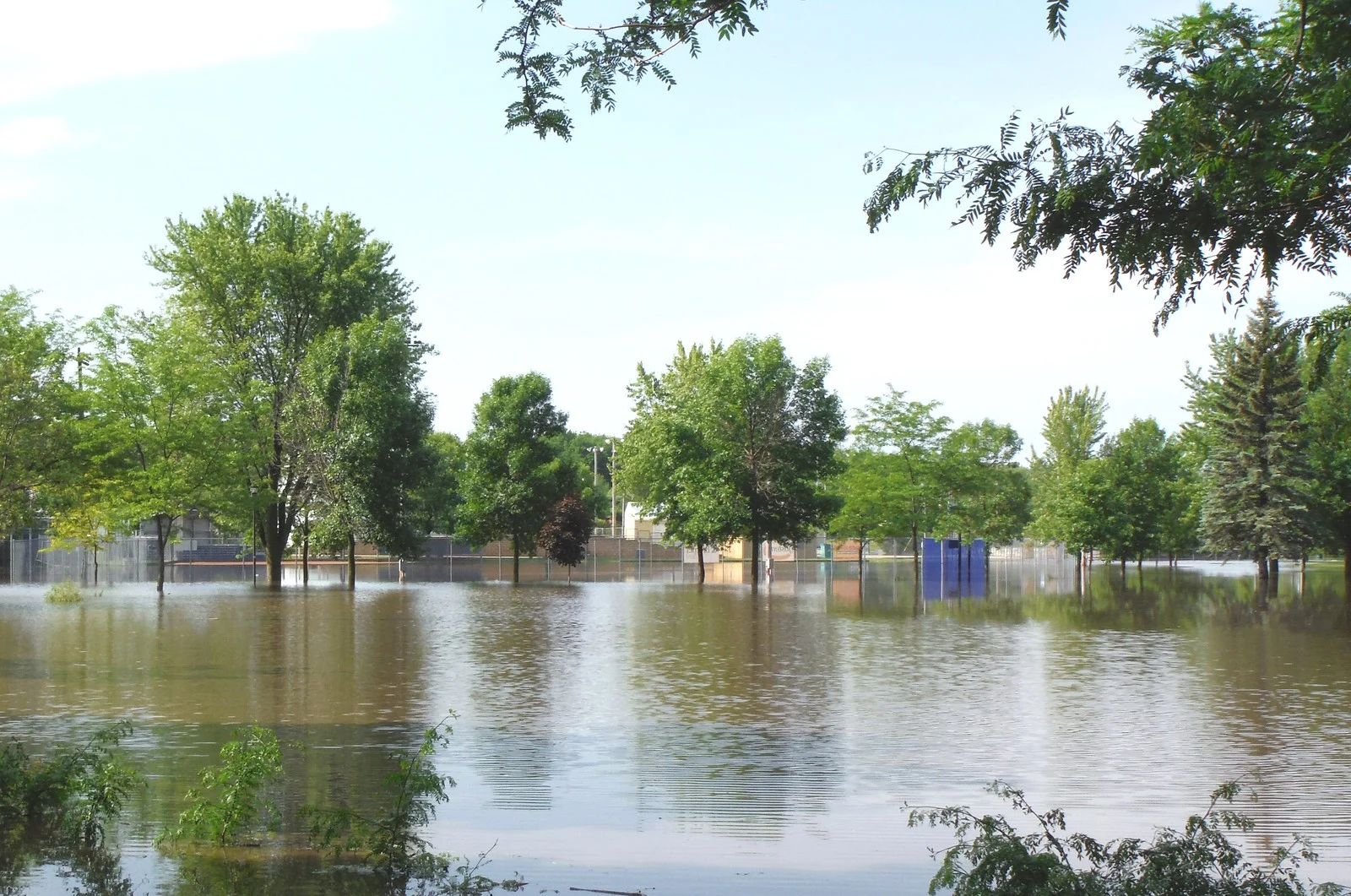 14275707139 c11a50c26f h 14275707139 c11a50c26f h