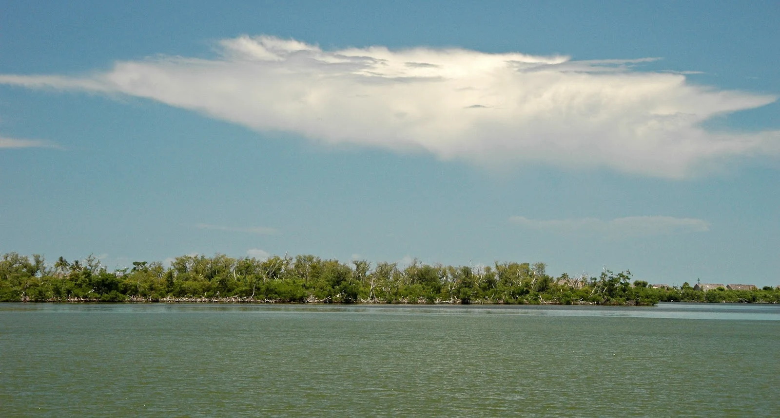 26129110576 554b59310e k 26129110576 554b59310e k