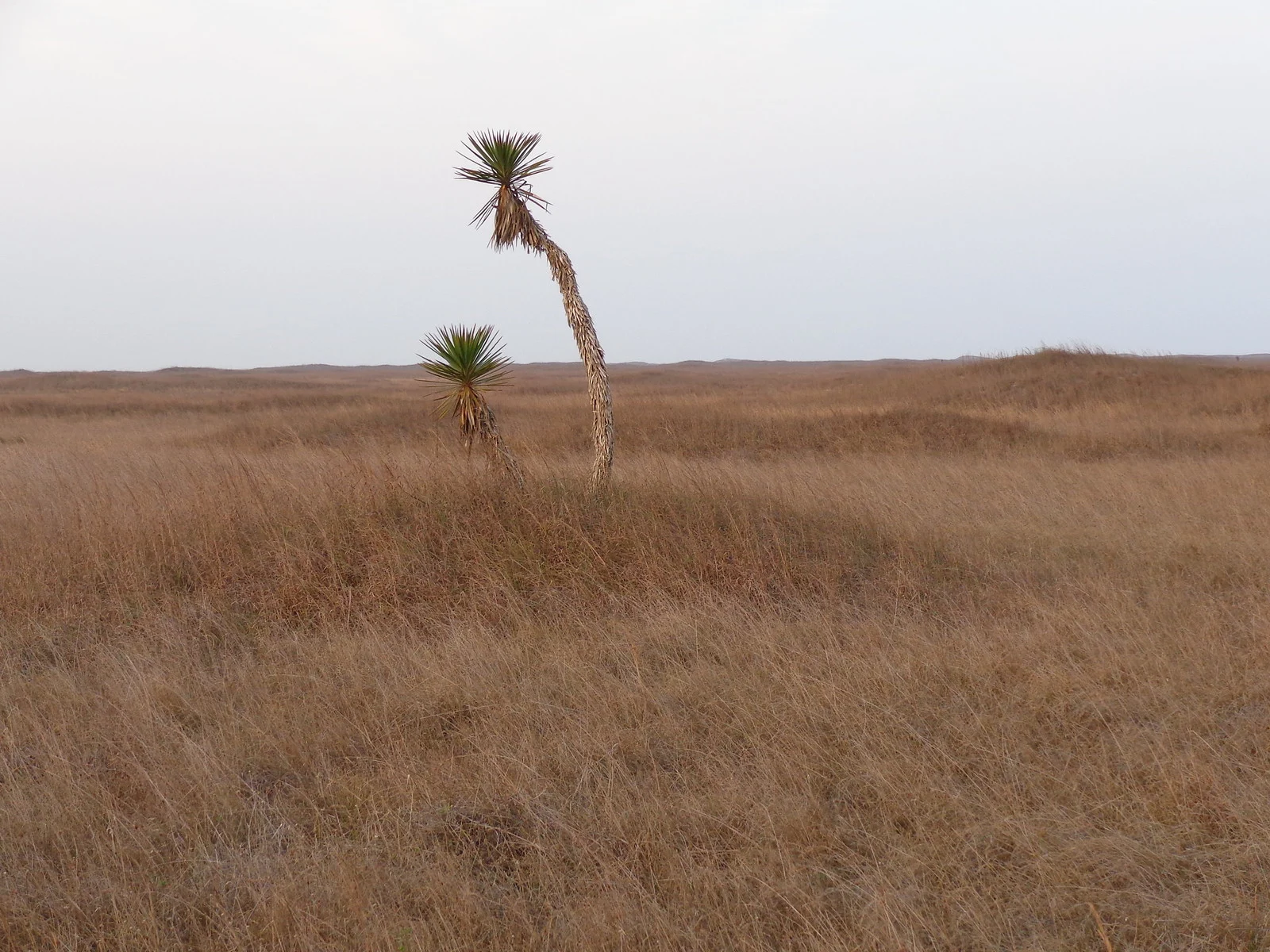 26966100686 8b577863a8 h 26966100686 8b577863a8 h