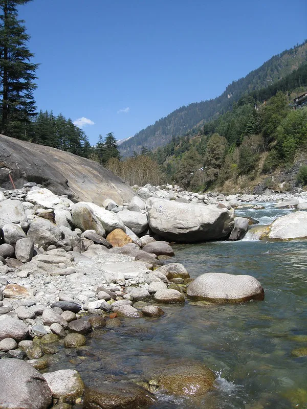 3007319138 79e3195d4e c