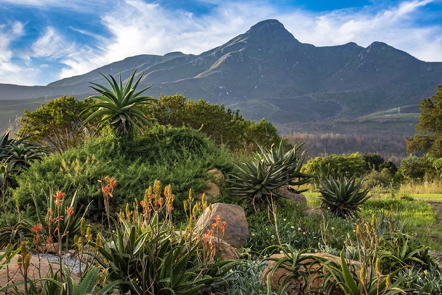 32882447197 f3db9634c8 h