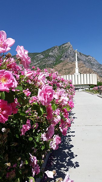 337px-provo utah temple with roses