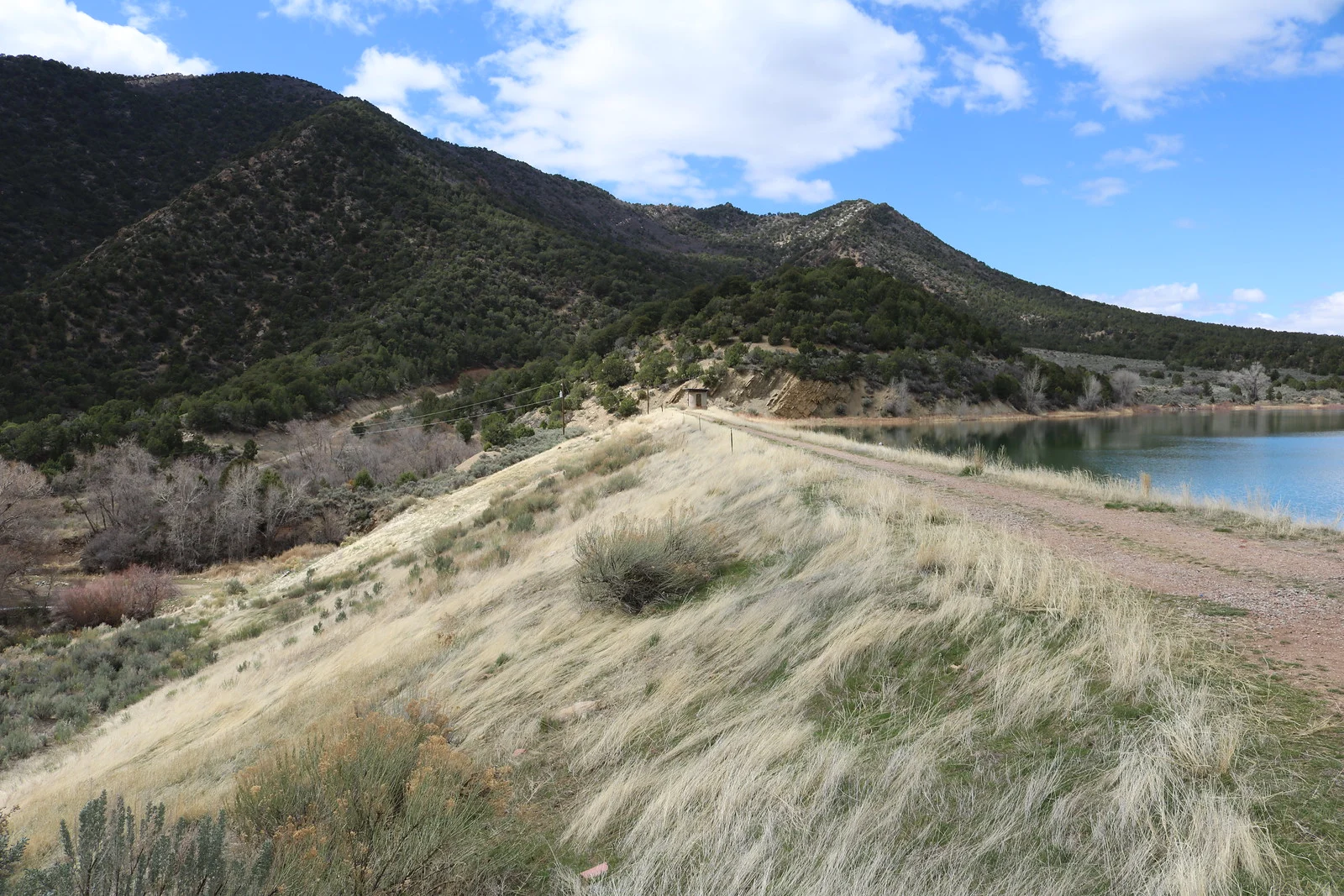 33812293136 0a4c3c71ee h 33812293136 0a4c3c71ee h