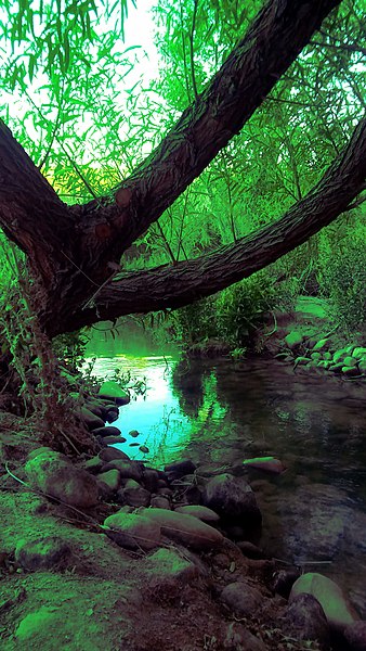 338px-the clark county wetlands park %2827178557243%29