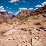 399px Flickr Laenulfean Grand Canyon2C below the rim 1