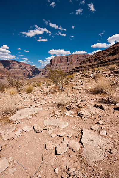 399px-flickr - laenulfean - grand canyon%2c below the rim