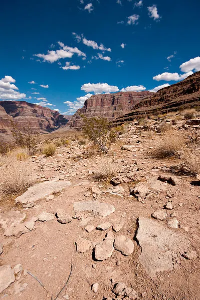 399px-flickr - laenulfean - grand canyon%2c below the rim