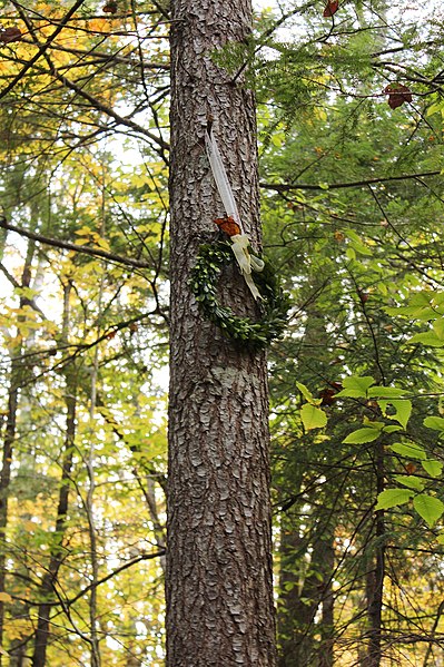 399px-sabbaday falls trail%2c kancamagus hwy%2c waterville valley %28494208%29 %2811924987776%29