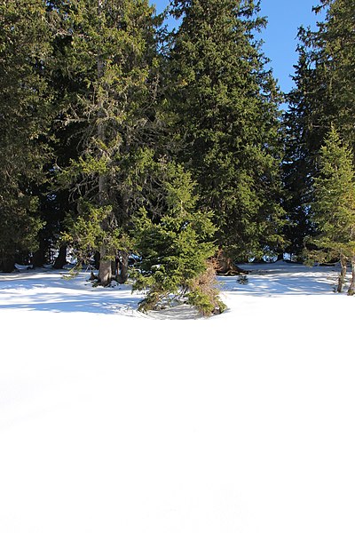400px-winter landscape near the col de soladier - panoramio