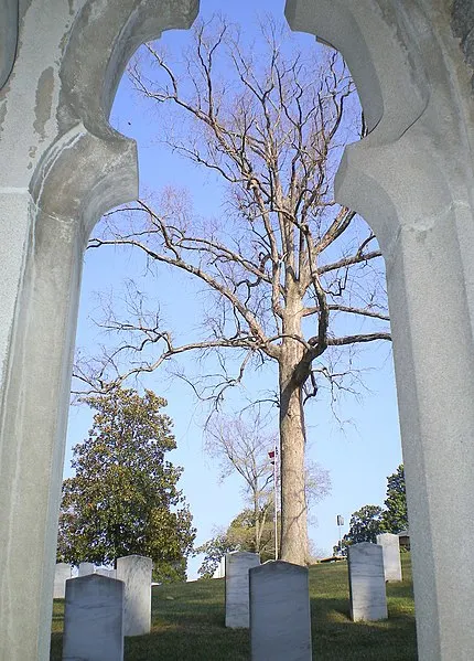 430px-confederate section at oakwood cemetery - panoramio