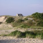 450px Dune Shack Ptown