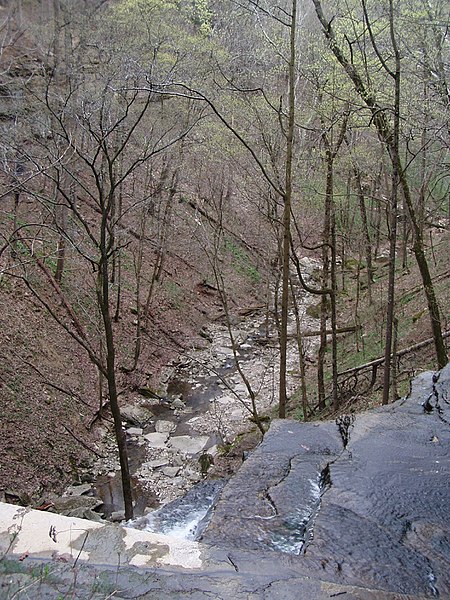 450px-little clifty falls p4120060