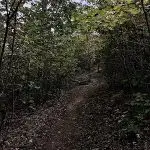 450px NB 9 28 20 Buck Hill Trail 50398946462