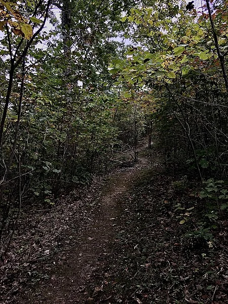 450px-nb 9-28-20 buck hill trail - 50398946462