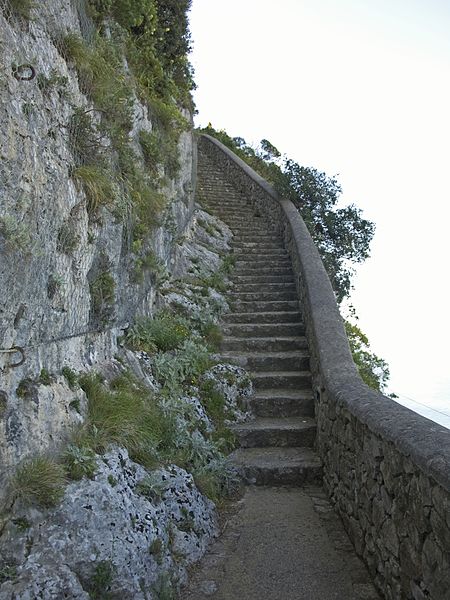 450px-phoenician steps
