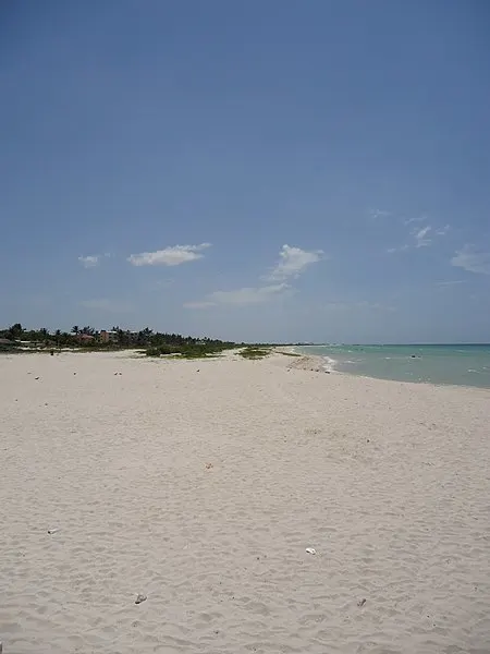 450px-playa de sisal%2c yucat%c3%a1n%2c m%c3%a9xico. - panoramio