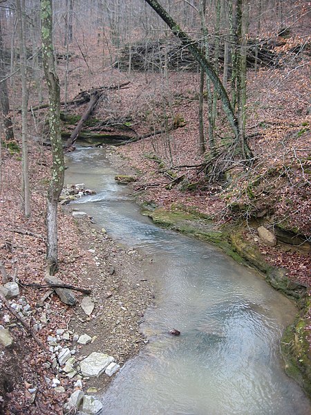 450px-potts creek with rockshelter