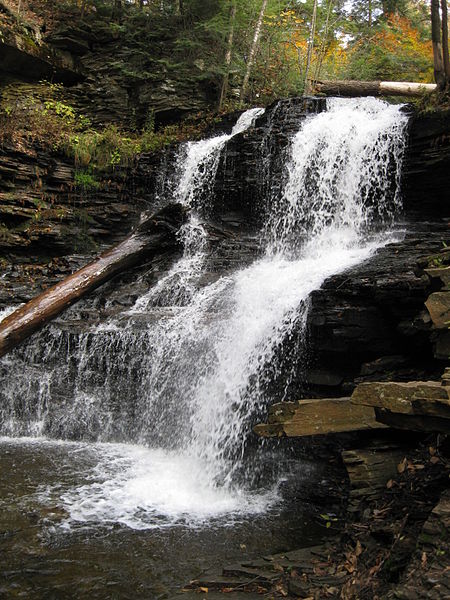 450px-ricketts glen state park shawnee falls 5