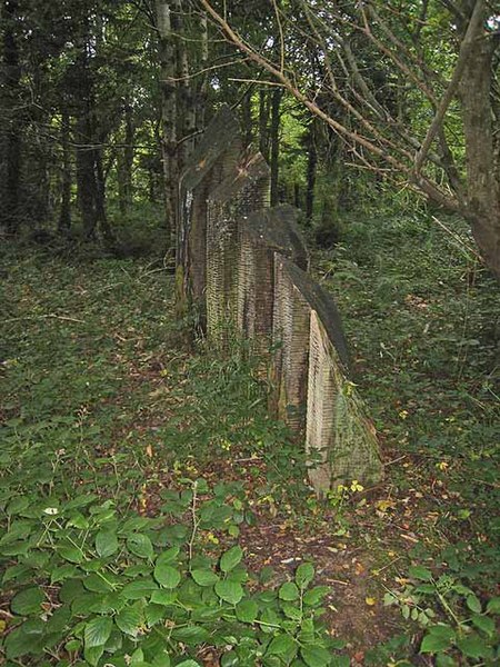 450px-sculpture in hazelwood country park - geograph.org.uk - 980395