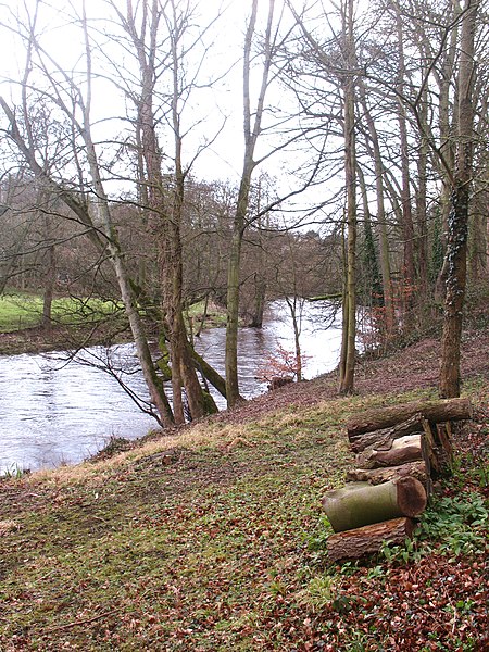 450px-the nidd from abbey road - geograph.org.uk - 2824873