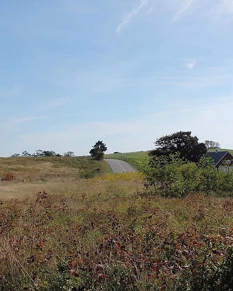 481px-fort hill rural district