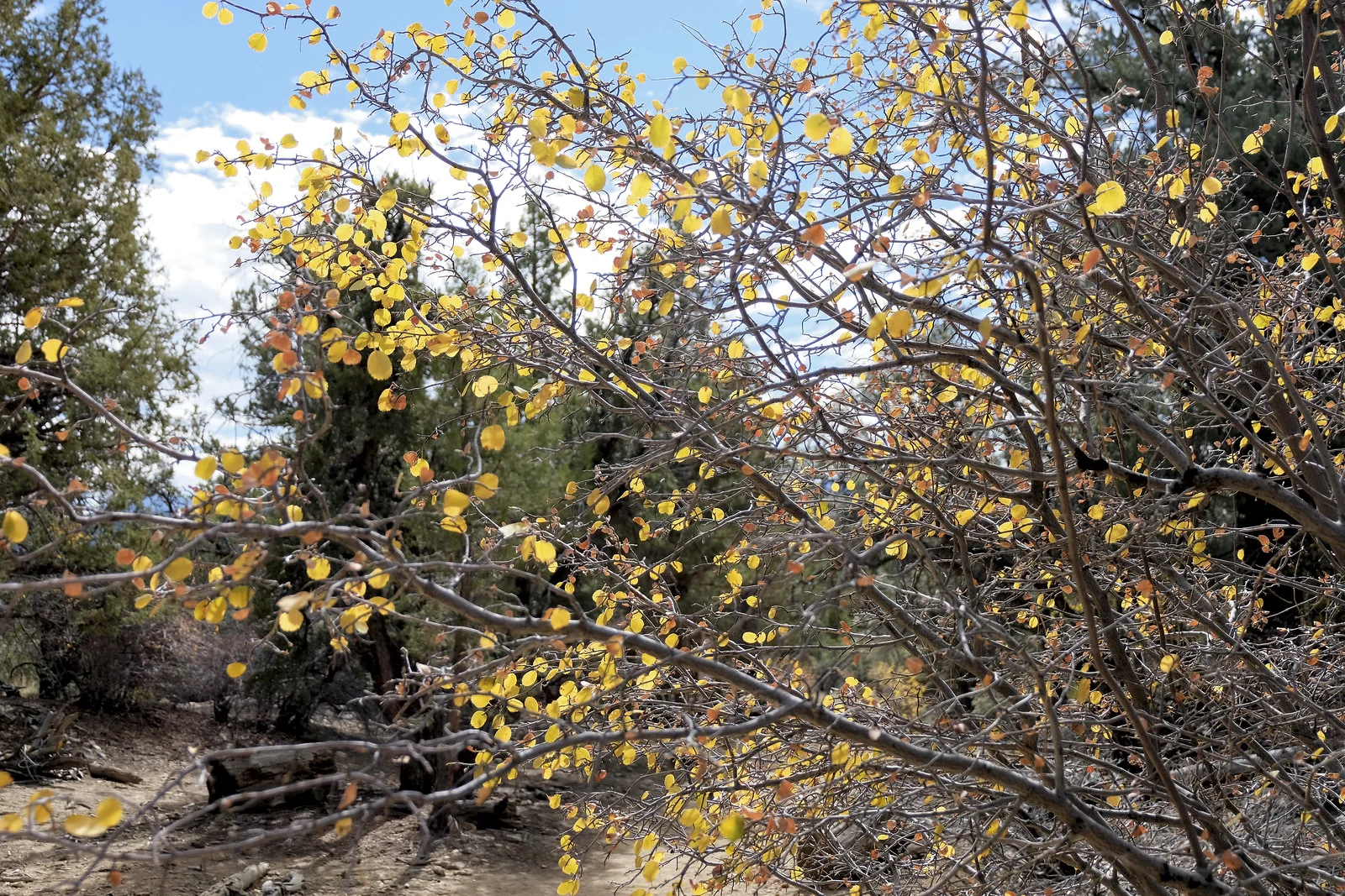 50561629257 f59bfac025 h