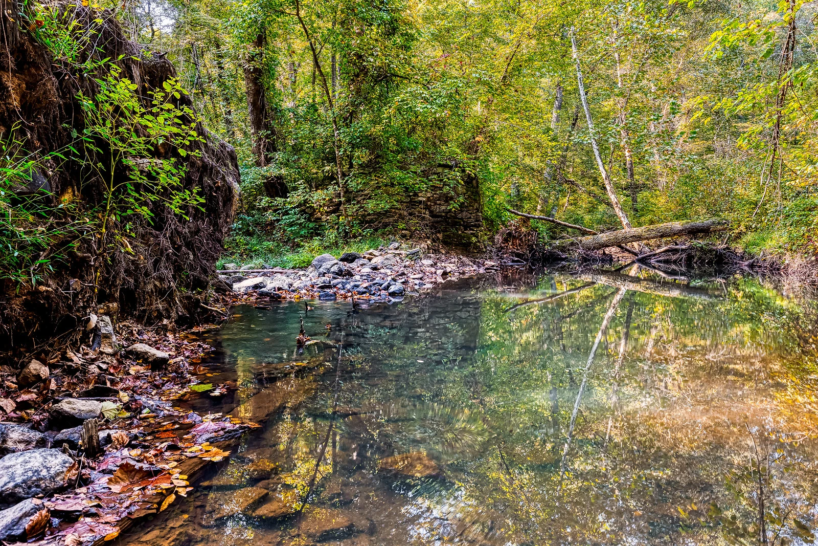 51548130045 9a462f4147 h 51548130045 9a462f4147 h