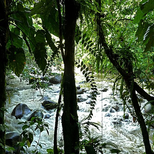 600px-cascade aux %c3%a9crevisses%2c guadeloupe%2c france - flickr - pom%27.