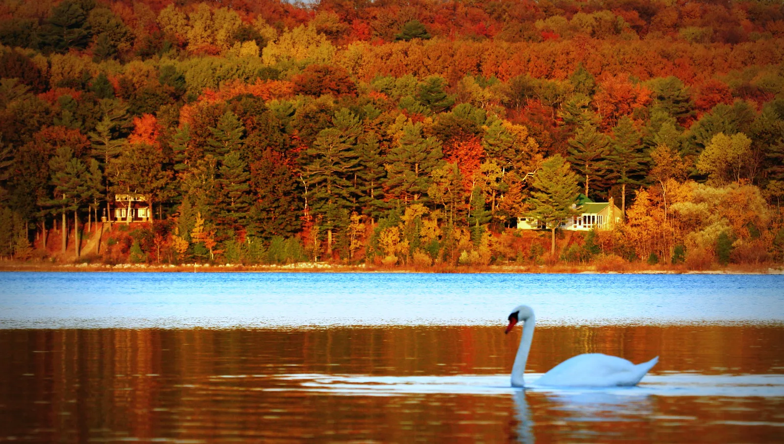 6498526377 e4a623f5b9 h 6498526377 e4a623f5b9 h