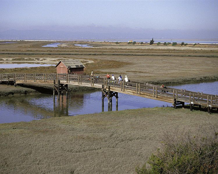 750px-san francisco bay national wildlife refuge