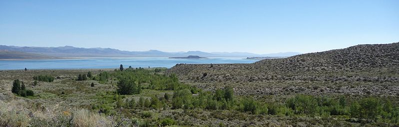 799px-mono lake - lee vinning creek with lake in background