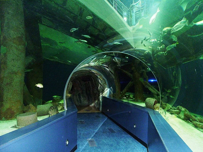 799px-sharjah aquarium - panoramio %289%29
