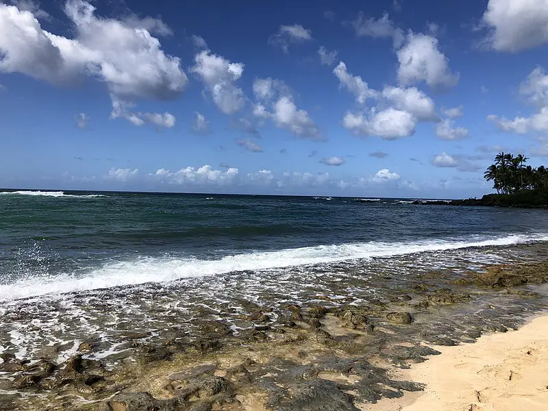 800px-2021-10-06 14 51 39 view north into the pacific ocean at laniakea beach in kawailoa%2c oahu%2c hawaii