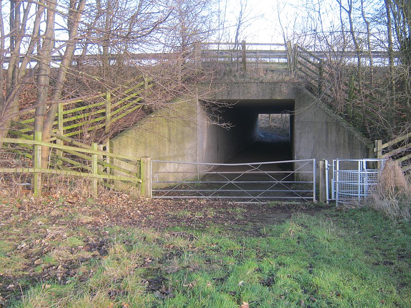 800px-a177 underpass for footpath between thorpe thewles and wynyard woodland park - geograph.org.uk - 3277262