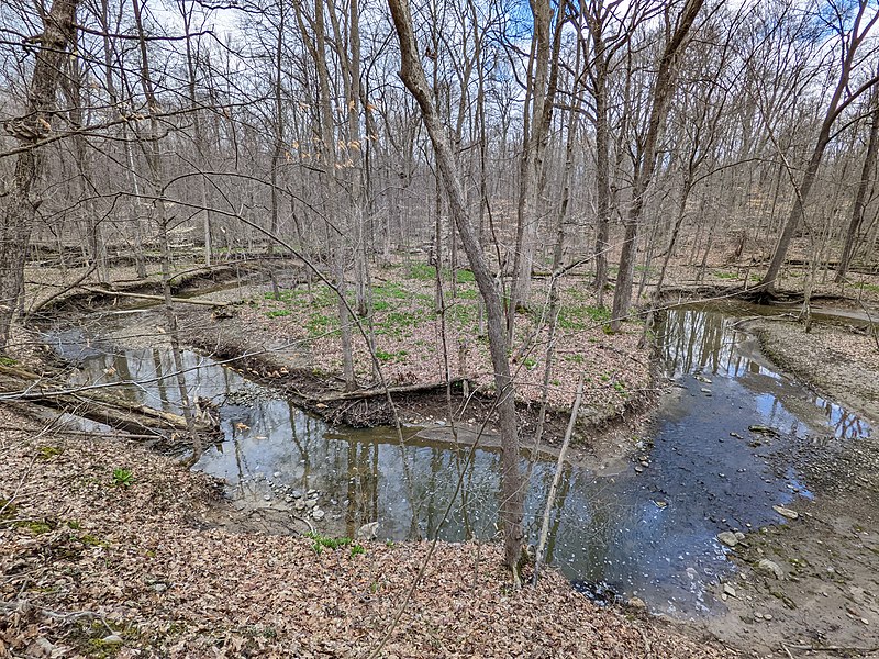 800px-a small winding tributary to the wellington creek makes it way through caley reservation near lagrange%2c ohio on 9 april 2022