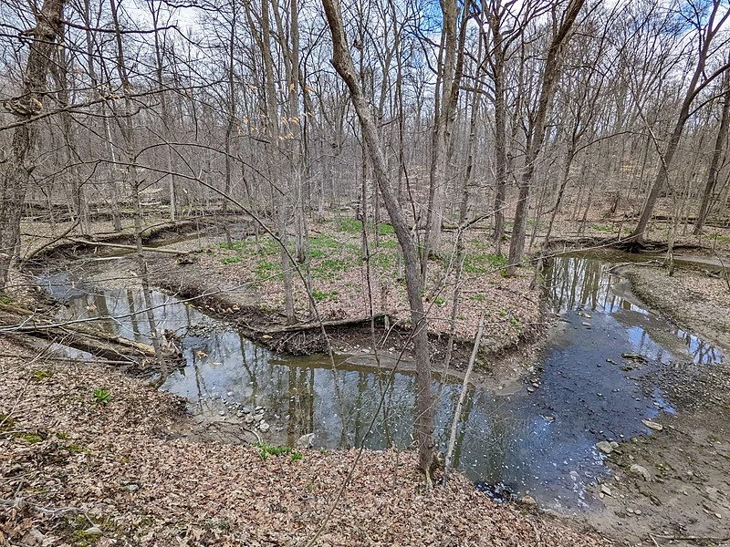 800px-a small winding tributary to the wellington creek makes it way through caley reservation near lagrange%2c ohio on 9 april 2022