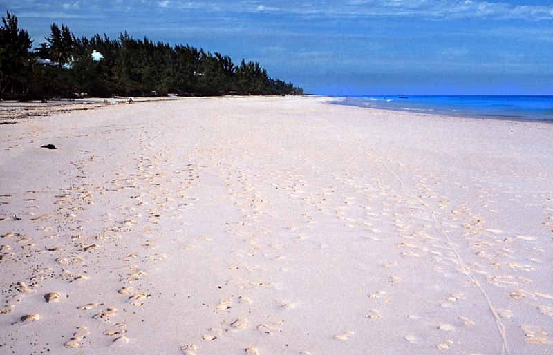 800px-bahamas 1989 %28342%29 eleuthera harbour island %2824320422055%29