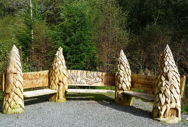800px-bench in forest of ae - geograph.org.uk - 2623577