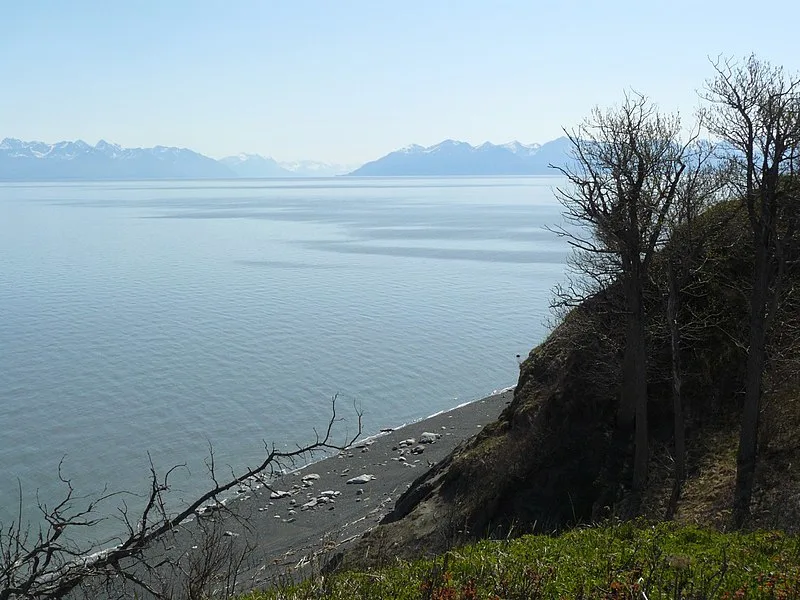 800px-bluff view near point possession looking at turnagain arm and chickaloon - panoramio