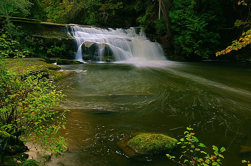 800px-bowen park falls %2848164448%29