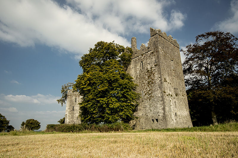 800px-burnchurch castle and tower