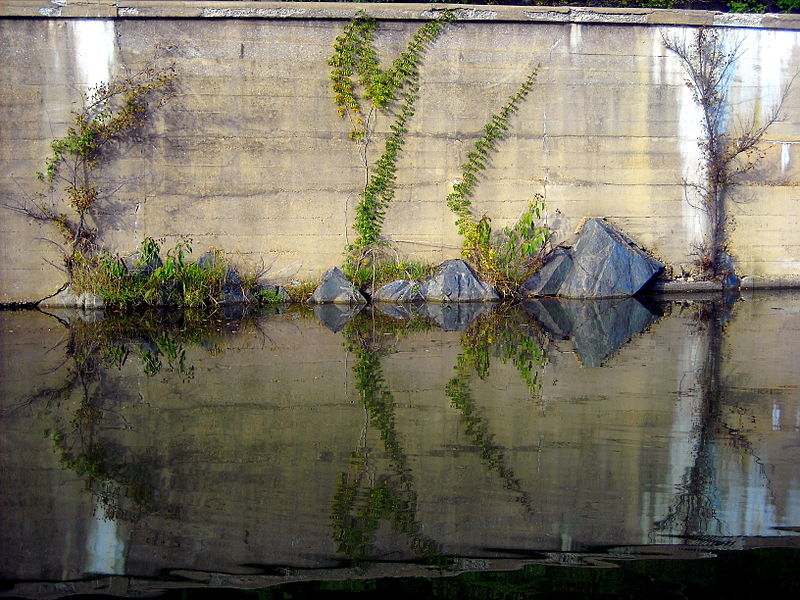 800px-c%26o canal trail in georgetown - washington%2c d.c.