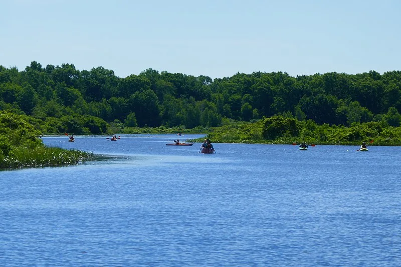 800px-charles river at cutler park p1010739