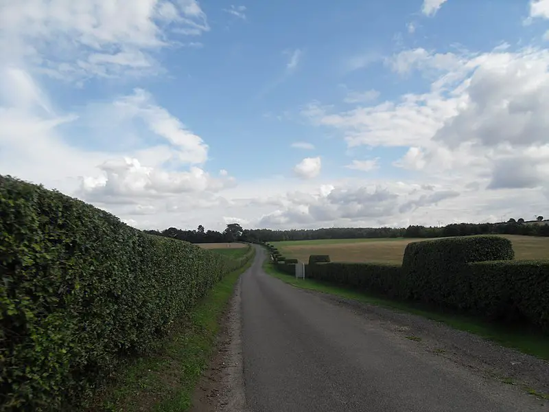 800px-chilford hall driveway - geograph.org.uk - 2017406