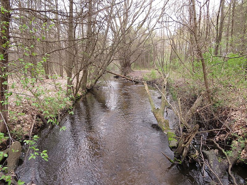 800px-cobus creek at county park outer loop 02 - april 2017