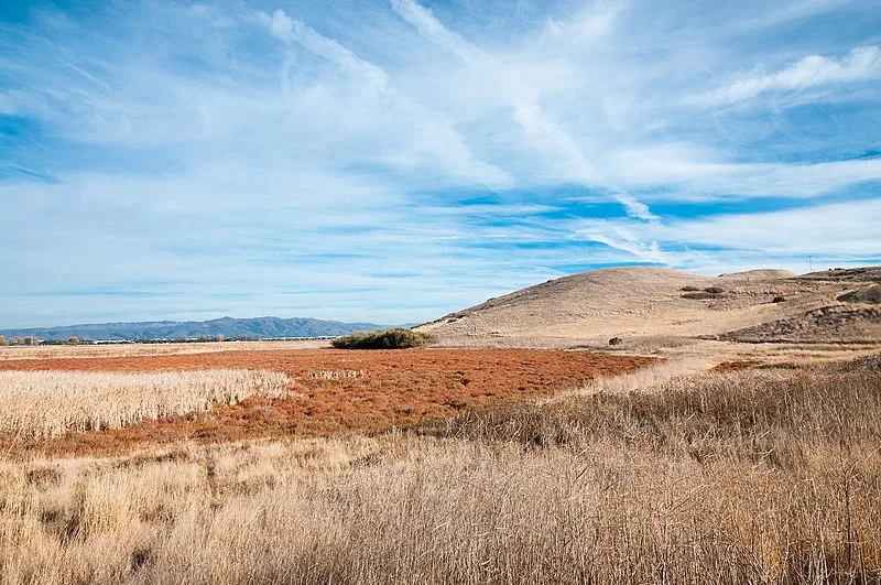 800px-coyote hills regional park%2c fremont%2c california %2855806208%29