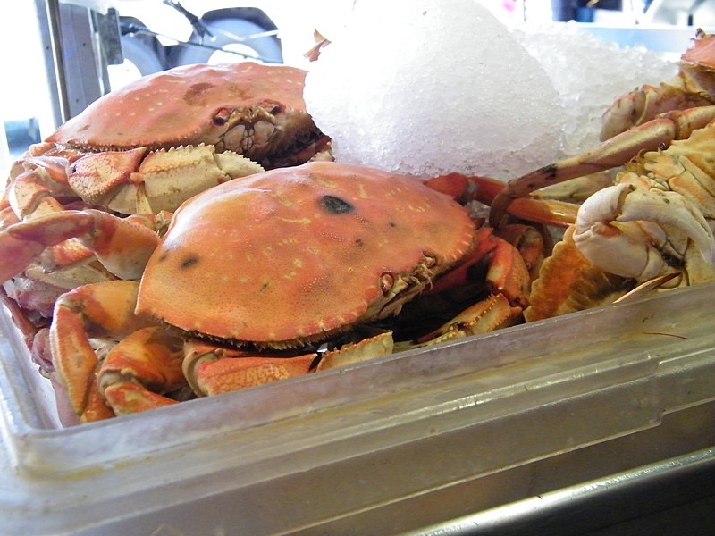 800px-crabs at fisherman%27s wharf - sarah stierch