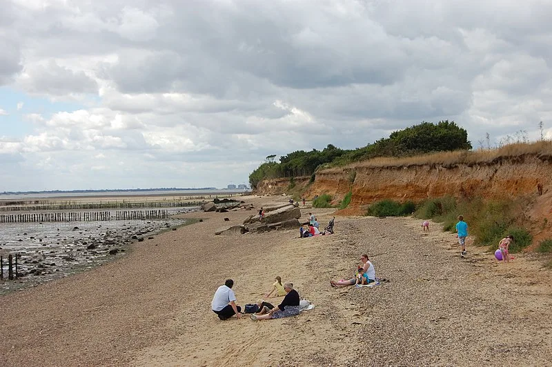 800px Cudmore Grove Country Park geograph.org .uk 3604253 1 800px-cudmore grove country park - geograph.org.uk - 3604253